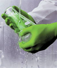 Globus strengthens position as UK's leading force in hand protection
