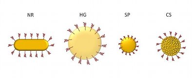 Gold nanoparticles bring scientists closer to a cancer treatment