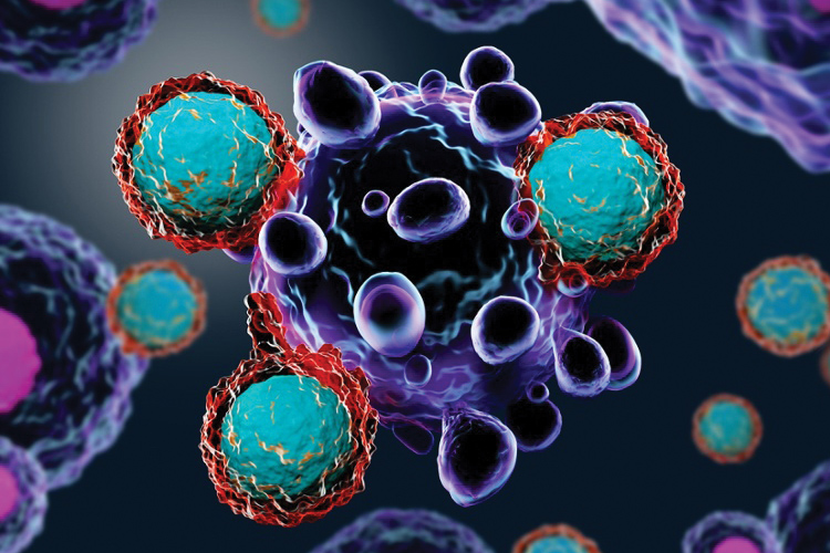 Grant awarded to doctors researching innovative PDX models in immuno-oncology