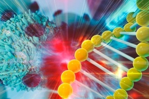 Grant awarded to support innovative cancer treatments