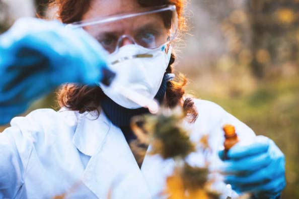 Green Leaf Farms receives expanded cultivation site approval
