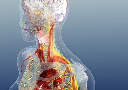 GSK and Verily form Galvani to develop bioelectronic medicines
