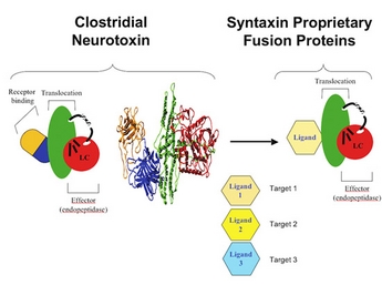 Harnessing toxins