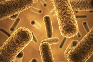 Helping probiotics to help you