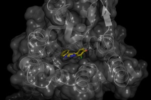 Heptares enters research and drug discovery collaboration 
