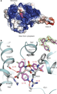 Heptares scientists solve structure of CCR9 chemokine receptor offering unique opportunity to apply structure-based design across chemokine receptor family