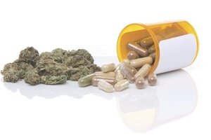 High hopes for cannabis