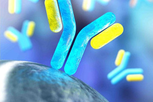 High performance magnetic beads for immunoassays