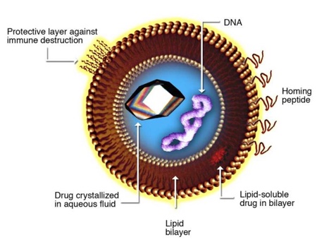 High pressure homogenisation and the next generation of drug delivery: Liposomes