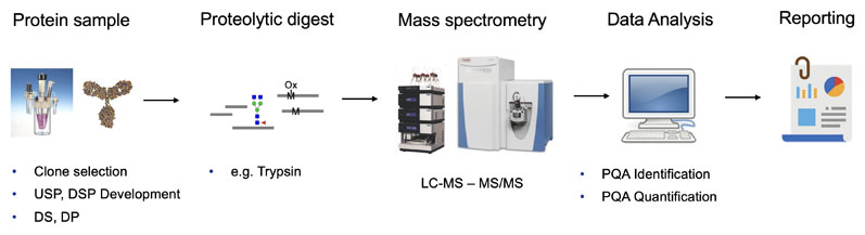 Figure 2: MAM workflow