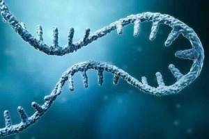 Hongene Biotech to manufacture Hangzhou Biotech's siRNA-based dyslipidaemia therapy