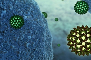 Hookipa Gilead collaboration reaches major milestones