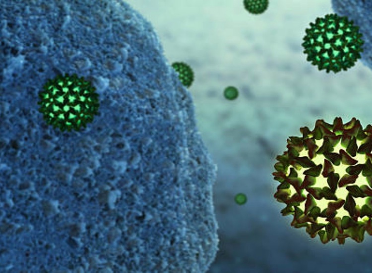 Hookipa Gilead collaboration reaches major milestones