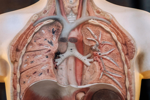 Hope for cystic fibrosis with range of novel treatments in development