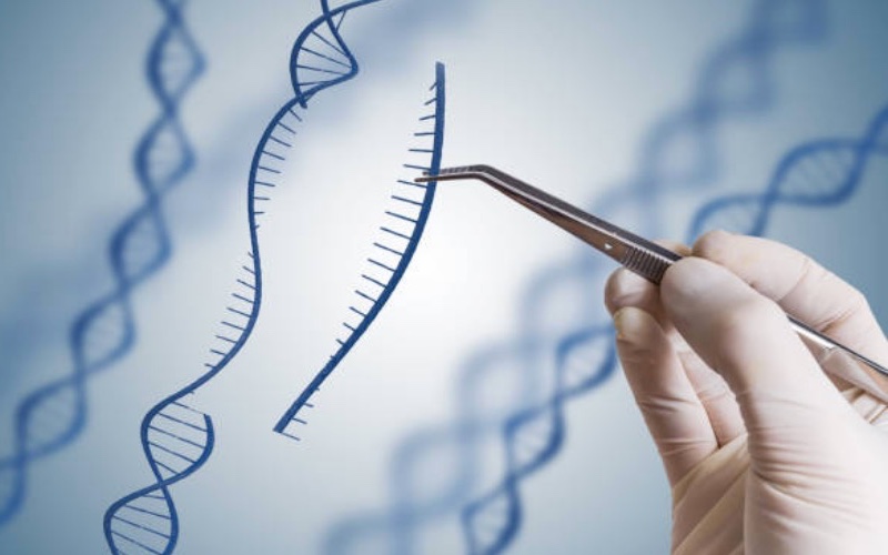 Horizon Discovery enters agreement with immuno-oncology company