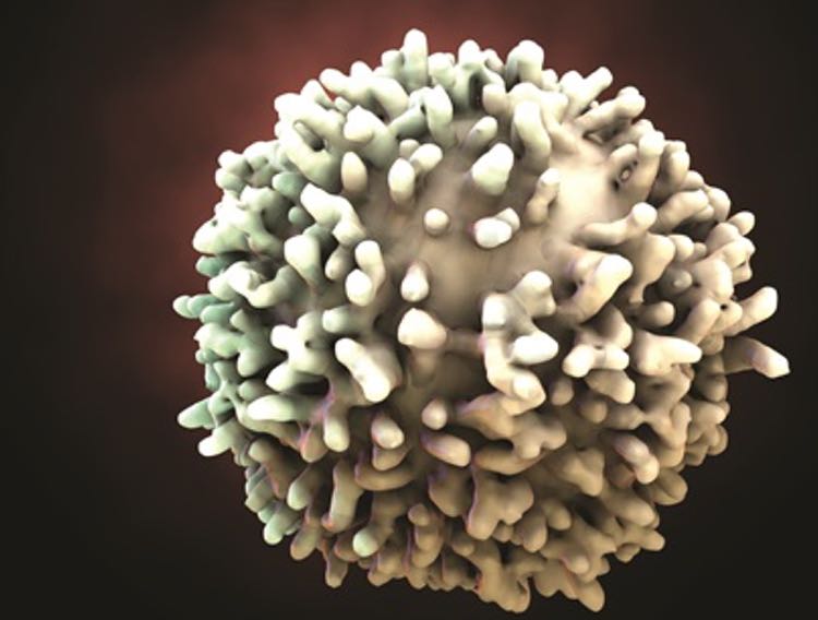 Horizon Discovery expands cell-based CRISPR screening services