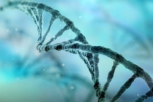 Horizon Discovery launches genome-wide CRISPRi and CRISPRa screening services