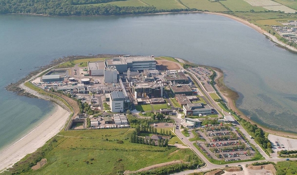 Hovione adds API capacity with purchase of Pfizer's Loughbeg facility