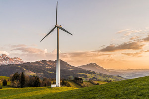 How can my business improve environmental management?
