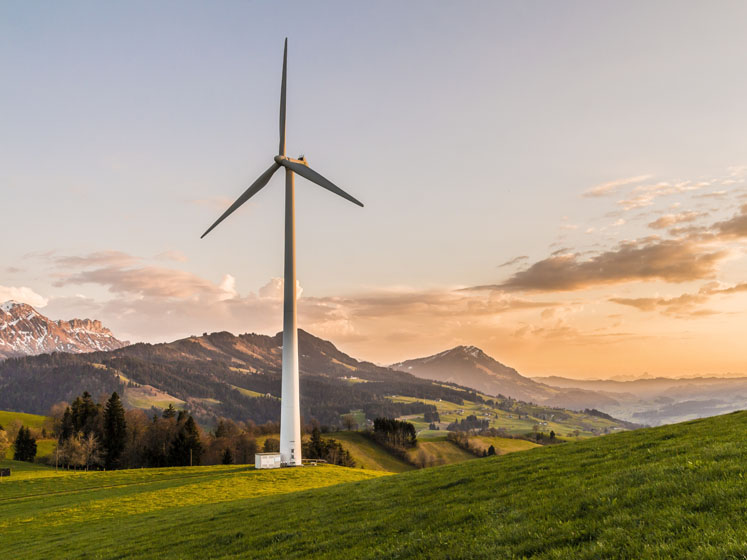 How can my business improve environmental management?

