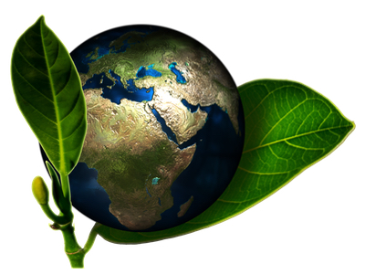 How CDMOs can set a new gold standard when it comes to going green