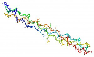 How freeze drying optimises the processing and viability of collagen bio-scaffolds