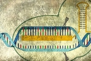 IDT offers CRISPR/Cas9 online resource for genome editing