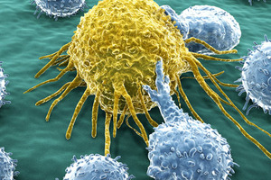 Immuno-oncology drug development and personalised medicine will continue to reshape the pharma industry in 2019