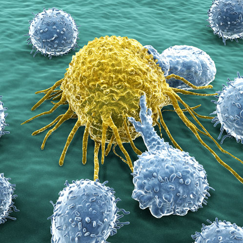 Immuno-oncology drug development and personalised medicine will continue to reshape the pharma industry in 2019