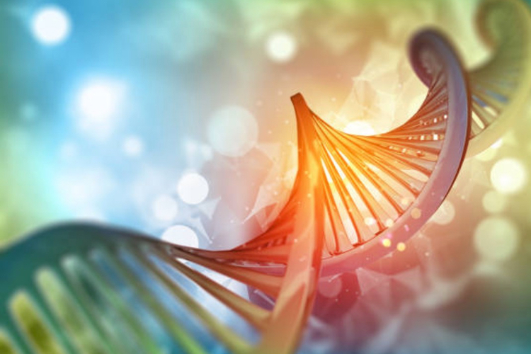 Immuno-oncology specialist chooses Catalent for commercial supply