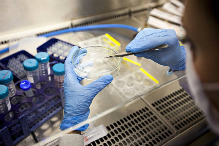 Impact of Japan’s regenerative medicine regulatory reforms