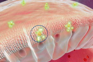 Improving oral drug delivery