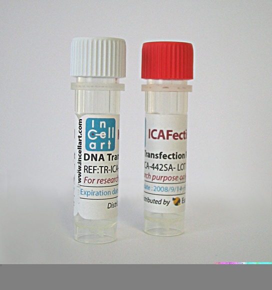 InCell Art and Sanofi expand r&d collaboration