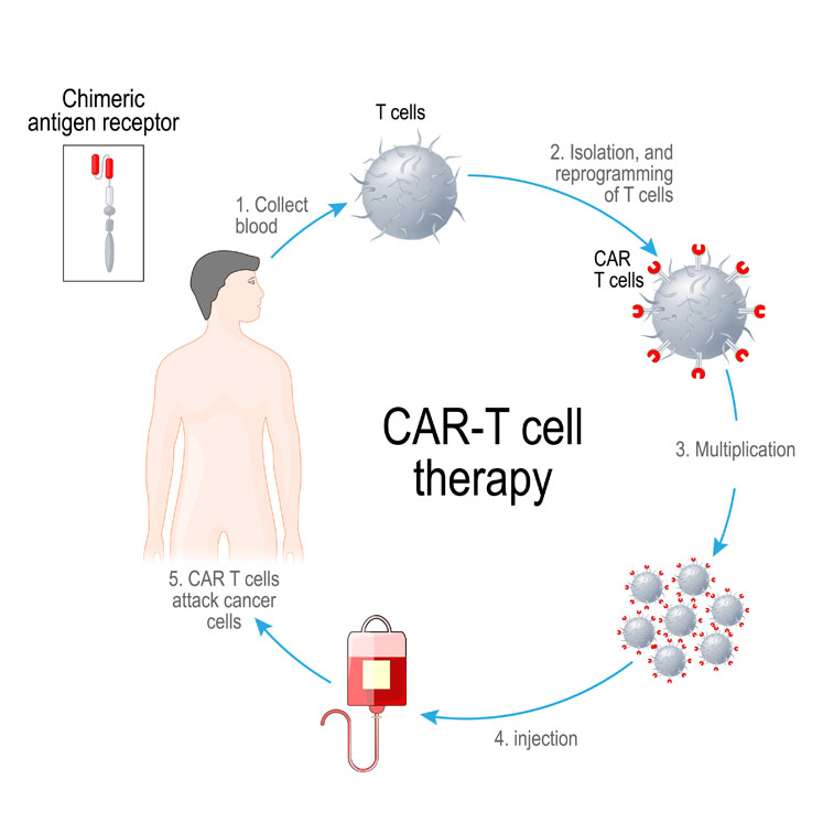 Increasing process consistency and data integrity in cell and gene therapies
