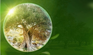 Indena reaffirms commitmment to sustainability