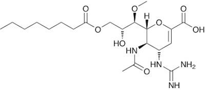Influenza – laninamivir octanoate