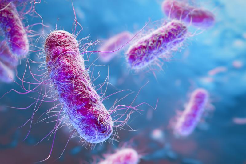 Ingenza debuts Bacillus protein production system alternative to E. coli
