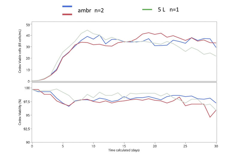 Figure 5: Viable cell density of cells expressing a coagulation factor cultured for 30 days in ambr 250 HT perfusion bioreactors and 5 L benchtop bioreactors