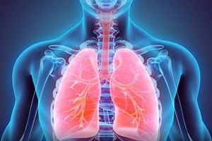 Inventiva announces exercise of option by Boehringer Ingelheim 