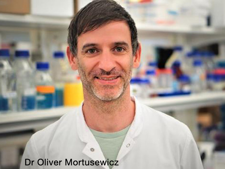 Investigating DNA repair inhibitors to treat cancer and other inflammatory diseases