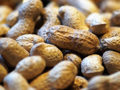 Investors back Nobel Laureate’s work to develop childhood allergy treatment 
