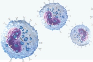 Iontas to generate antibodies using mammalian display technology