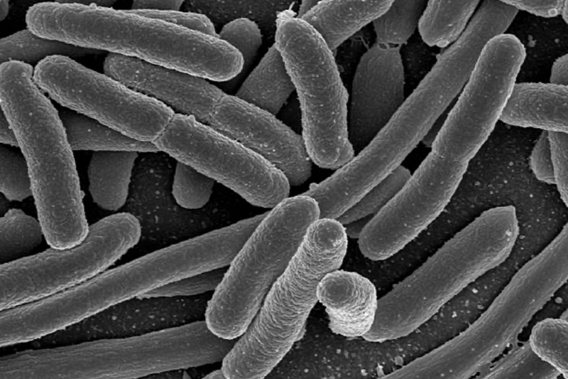 Iterum Therapeutics' Orlynvah for uncomplicated UTIs gets FDA seal of approval