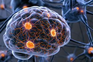 Jocasta expands UCSF α-klotho licence ahead of 2027 Phase I trial