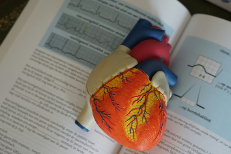 Johnson & Johnson to acquire heart failure specialist, V-Wave, for up to $1.1bn