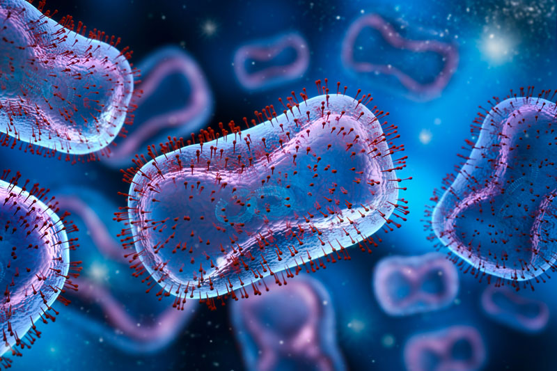 Just–Evotec Biologics advances US Dept of War antibodies against orthopoxvirus into Phase I