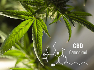 KD Pharma acquires phytoextract and CBD manufacturing assets