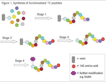 Keeping tags on biomolecules