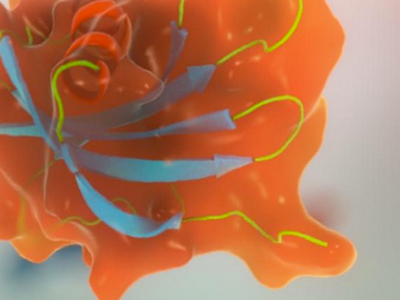 Key biotherapeutics patent to be granted in China