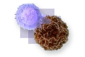 Kite to build new manufacturing plant for CAR-T therapies in the US